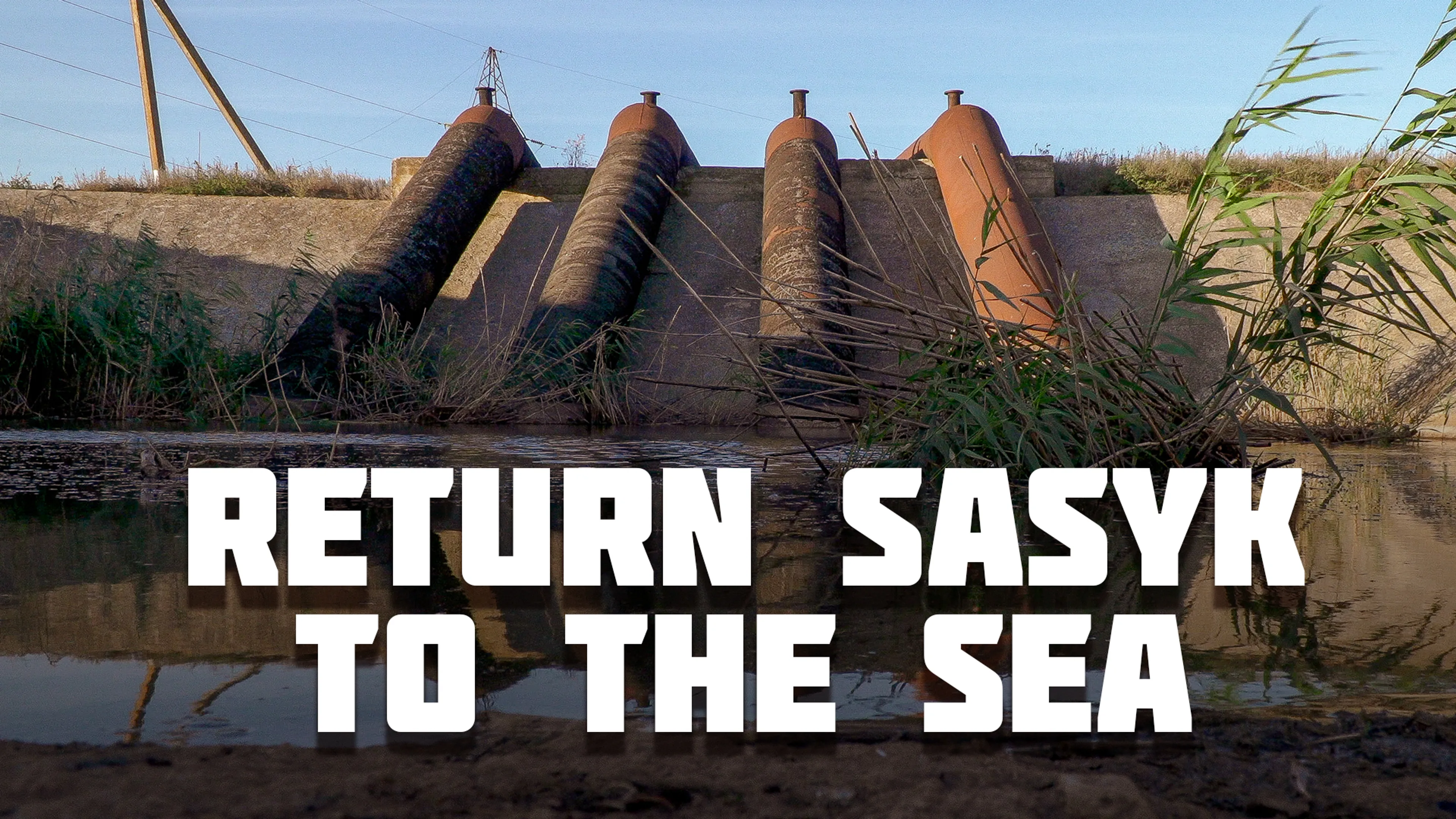 Return Sasyk to the Sea poster
